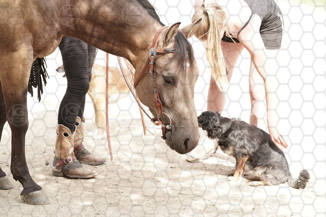 sK3F01192.JPG